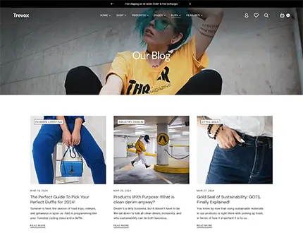 Trevox WordPress Theme